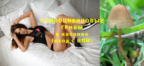 молекула духа Абаза