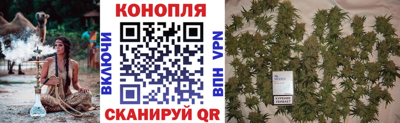 Шишки марихуана SATIVA & INDICA  Старый Крым 